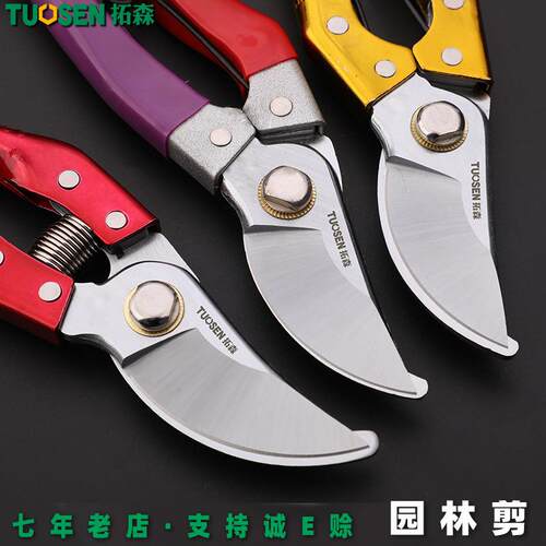拓森工具8寸果枝剪SK5弯头粗枝剪园艺剪摘果园林树枝剪刀修枝剪