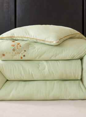 大豆纤维被子学冬被棉被芯生宿舍单保通人冬季春秋Z202501被加厚