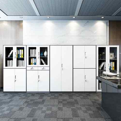 用钢制套色文件公柜务凭证财柜办室文件柜资料柜档案柜家带锁储物