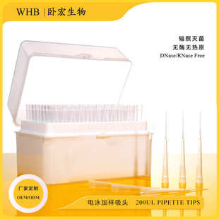 WHB电泳加样吸头200ul点样吸头蛋白上样枪头移液wb上样无菌