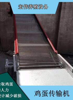 升降式自动化捡蛋装置大型养殖厂用收蛋机宏伟养殖收鸡蛋设备