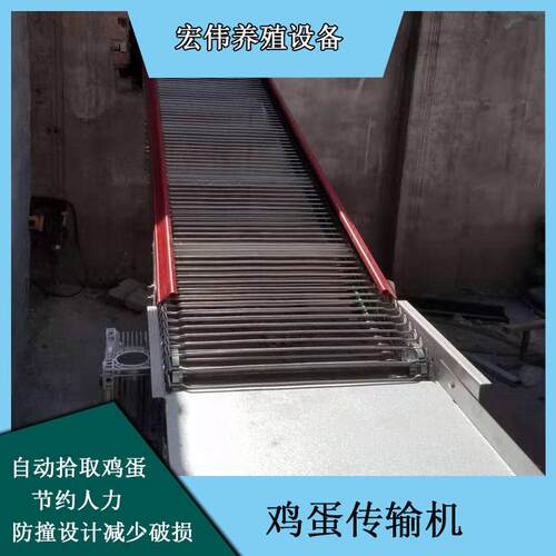 升降式自动化捡蛋装置大型养殖厂用收蛋机宏伟养殖收鸡蛋设备