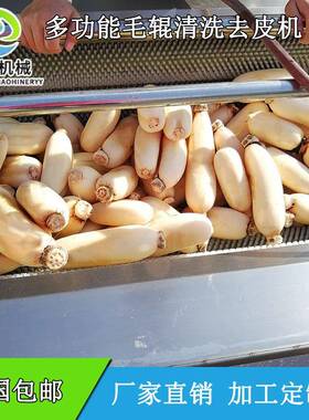 供应水果毛刷清洗机桃子去皮清洗机果蔬加工去皮清洗机
