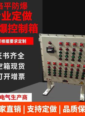 BXM51防爆配电箱防爆照明动力电箱防爆检修电源插座箱户外IP65