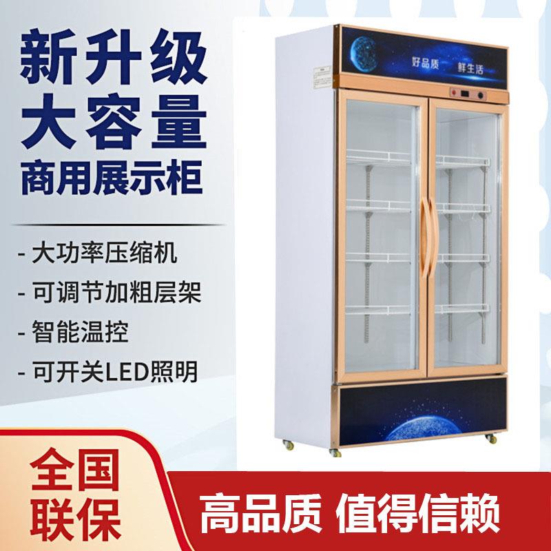 冷藏柜 展示柜 保鲜柜 立式双门铜管商用饮料冷饮蔬菜水果柜冰柜