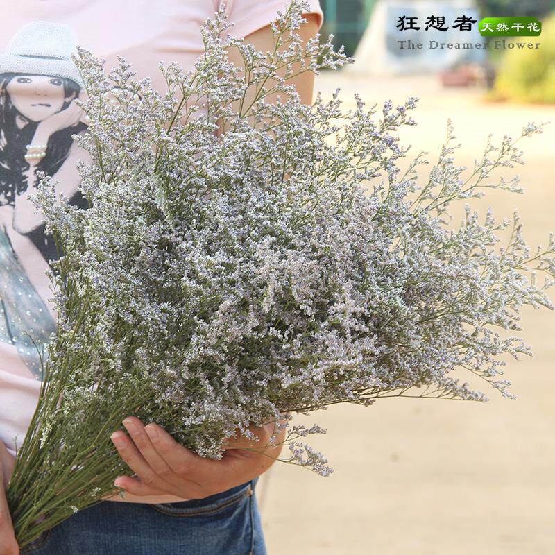 狂想者新货A级情人草100g森系自然干花真花家居装饰云南厂家