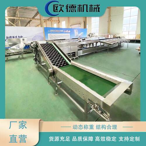 牛油果分选机橘子橙子百香果重量多级分拣高效精准度高不锈钢