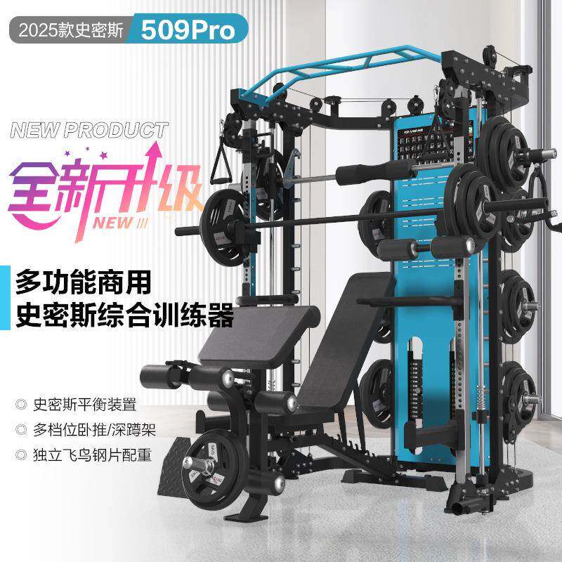 史密斯机509PRO-ZY移动飞鸟龙门架家用多功能健身器材