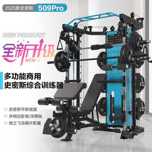 康强史密斯机509PRO-ZY移动飞鸟龙门架家用多功能健身器材