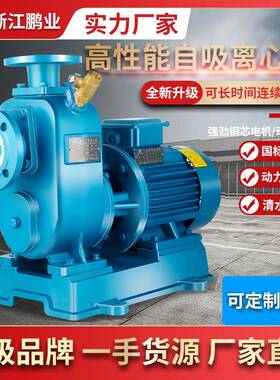 BZ吸水泵家用抽水卧式管道离心泵高扬程工业380V自吸泵水井增压泵