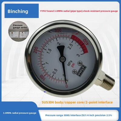 滨清 YN60耐震压力表 0-3.0MPA 径向不锈钢压力表 防震压力表