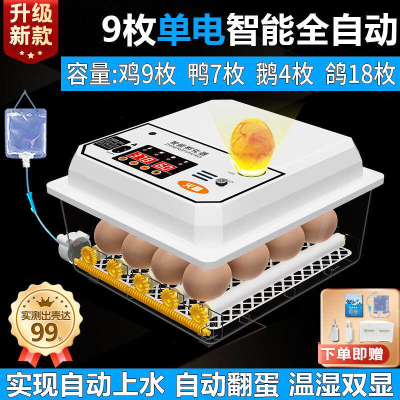 全自动用小型孵蛋鸭器孵鸡JOP鹅家鹌孵鹑鸽子芦丁鸡儿童孵化器蛋