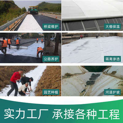 白色土工布园艺透水滤水工程布长丝无纺布保温保湿种植土工布毛毯