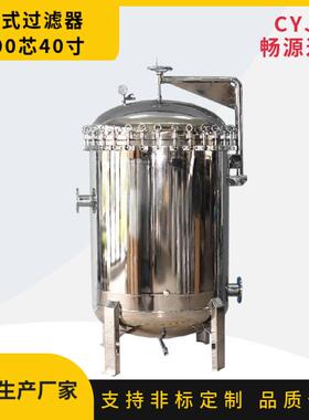 不锈钢过滤器100芯40寸大流量保安过滤器液体加压过滤RO反渗透