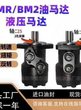液压油马达BMR/BM2/BMH/50 80 100 160 200 250 315 模具摆线马达
