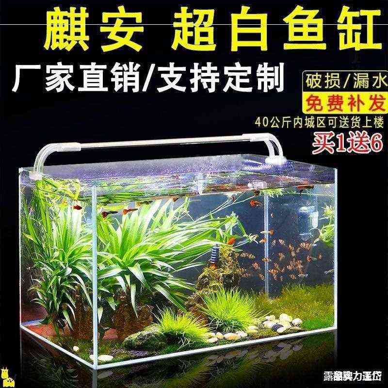 加厚超白玻璃鱼缸长方形大小型客厅造景水族箱水草乌龟缸