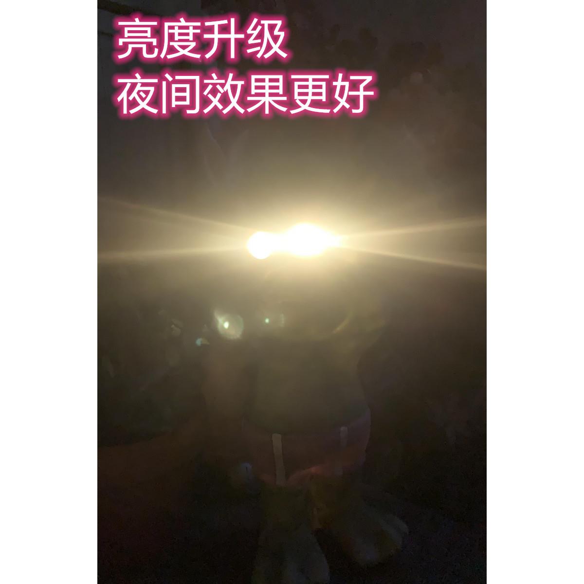 守望小卫士青蛙太阳能电子夜灯户外花园庭院落地装饰品摆件杂货