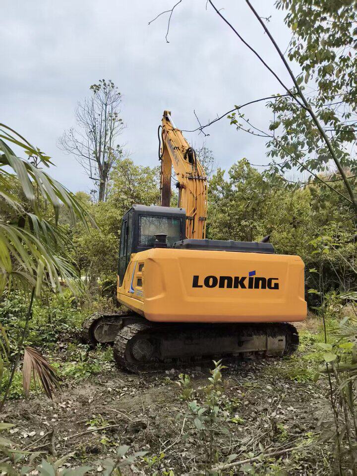 4月17日成都【国三】龙工牌150型履带式液压挖掘机（出价即进入倒计时）网络拍卖公告