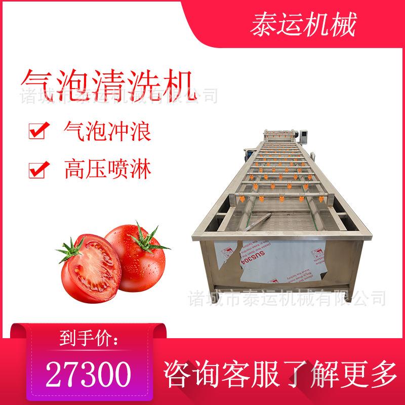 野苋菜气泡清洗机银耳清洗设备腌雪菜脱盐机青椒油菜丝瓜洗菜机