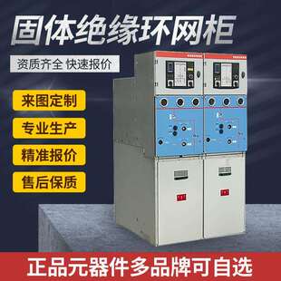 开闭所户外 12固体绝缘环网柜高压开关柜HXGN环网柜箱式 GTXGN