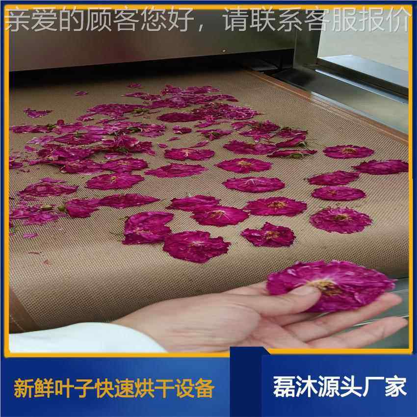 智能化鲜设花微波烘干杀LM-30KW-青机 玫瑰固提香备 藏花红色花干
