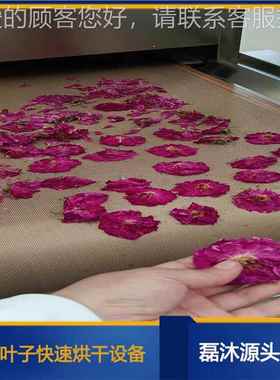 智能化鲜设花微波烘干杀LM-30KW-青机 玫瑰固提香备 藏花红色花干