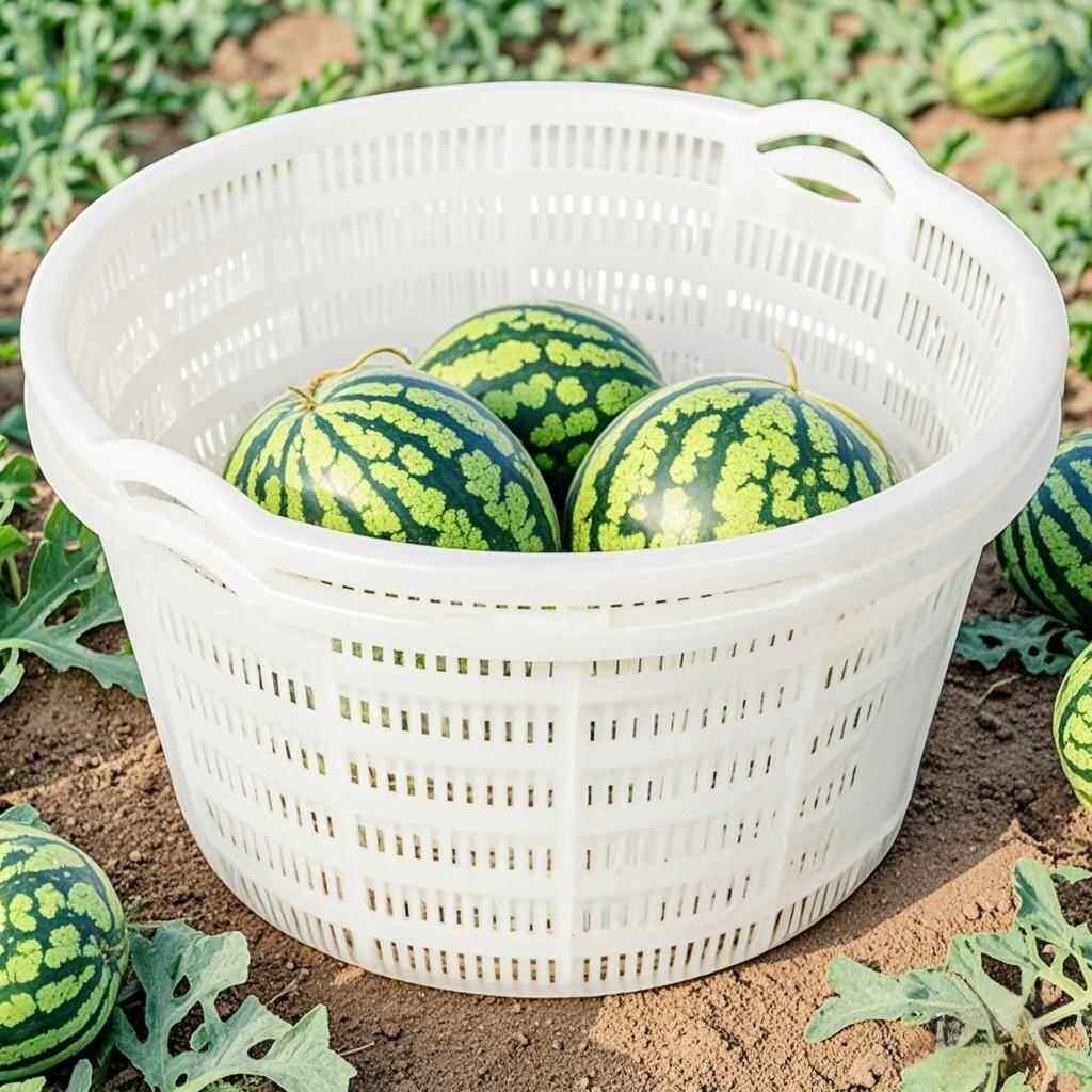 白色镂他空装西瓜筐胶周转筐圆形号水果蔬菜塑料框子大诛谓无品牌