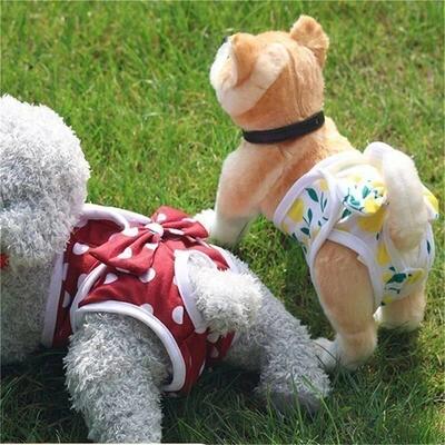 Reusable Female Dogs Diaper Pants Sanitary Female Dog Pants