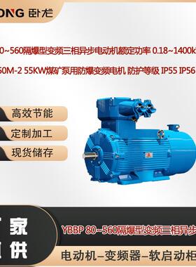 YBBP250M-255W煤矿泵用防爆变频电机防护等级IP55IP56