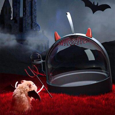 Rest Visible Chinchilla Guinea Pig Rat Sugar Glider Carry