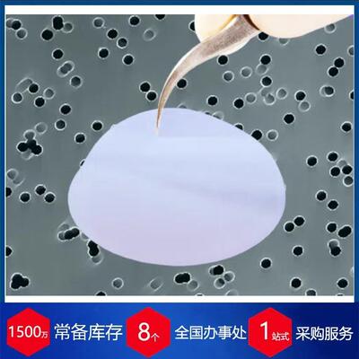 比利时径迹刻蚀膜过滤器ipPORE™1000M06/861N010/00