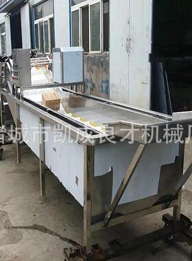 山东诸城牌SUS304果蔬清洗机带提升不锈钢蔬菜清洗机