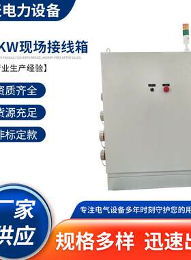 250KW现场接线箱配电箱控制柜独立250KW防尘型电线盒接线盒