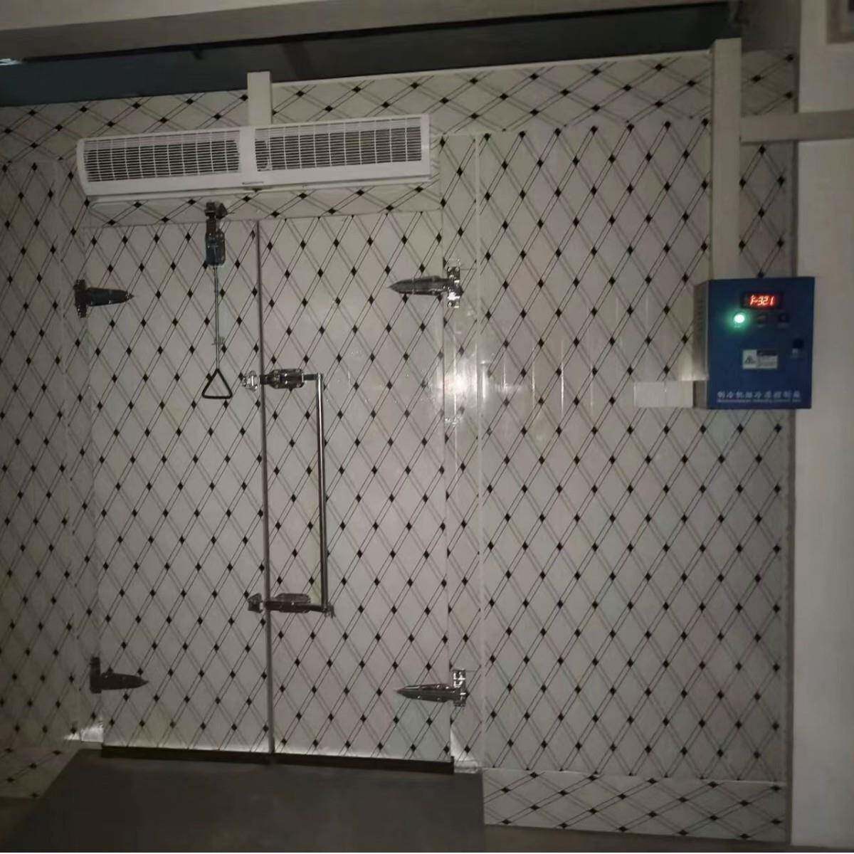 冻品海鲜果蔬储存急速制冷仓库车间商用冷库定制冷藏室冷冻柜神器