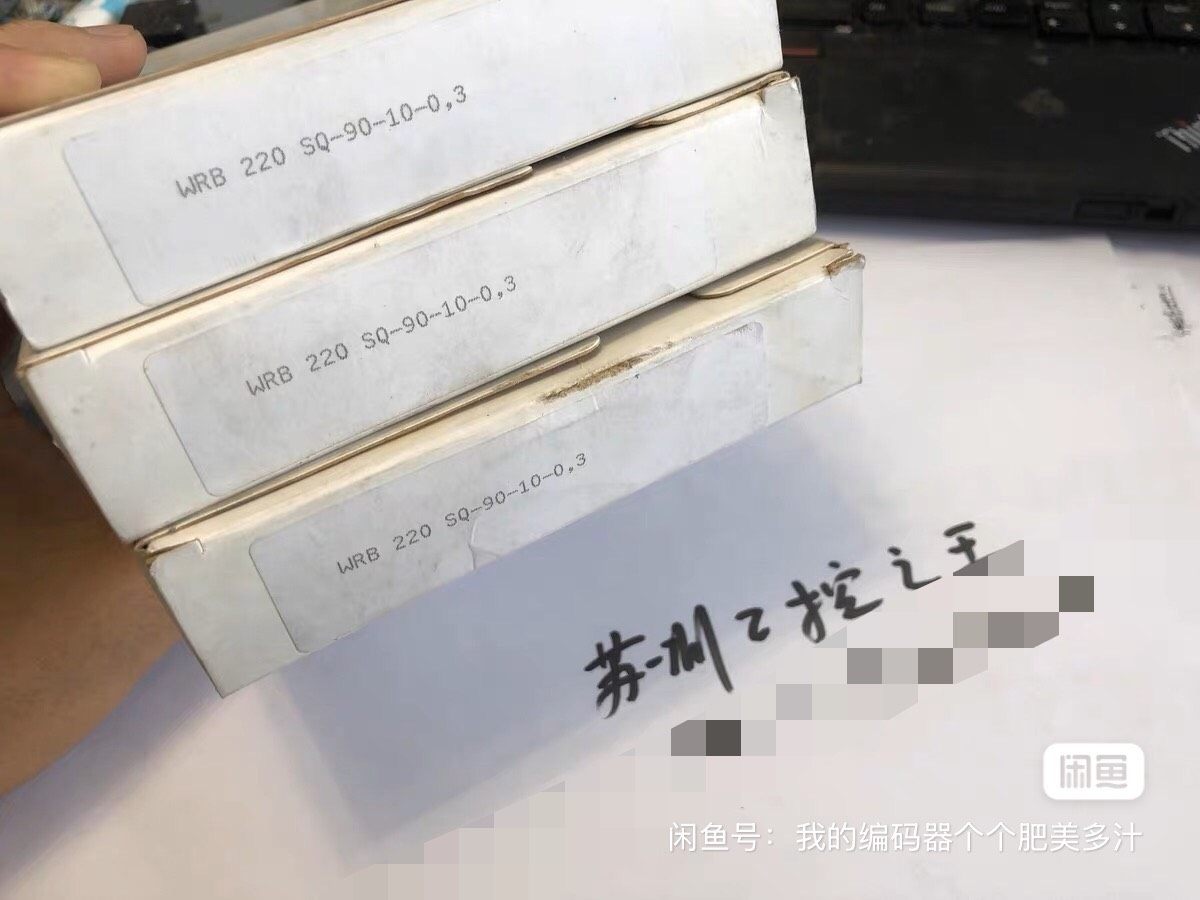 DI-SORIC光纤WRB 220 SQ-90-10-0.3