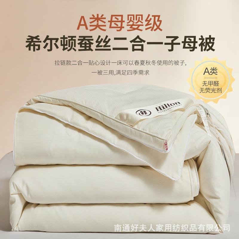 高端星级酒店蚕丝被冬被100桑蚕丝被芯子冬季加厚单人四季春秋被