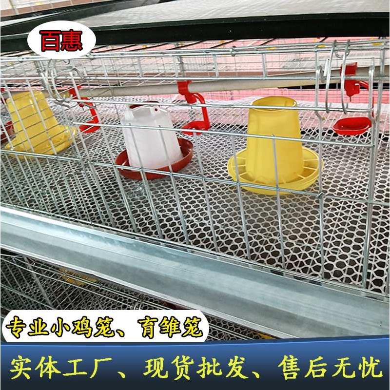 简易四层立体育雏笼小鸡笼 畜牧专业养鸡设备 镀锌防锈鸡笼子