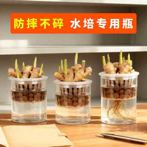 养禄根专用盆水培福禄根生姜容器大口径器皿植物盆器专用花瓶花盆