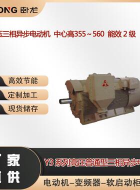 Y3-5002-41250W电压6000V高压电机YS高压三相异步电动机