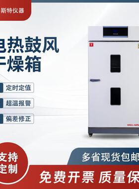 WHL-65B实验室小型烘箱数显微电脑控制干燥箱