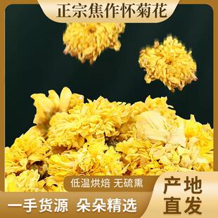 河南特产焦作怀菊花 菊花茶 冰菊怀寿菊黄菊花茶水果茶