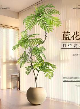 客厅大型落地摆件电视柜旁边装饰品室内假植物盆栽蓝色的花楹彷真