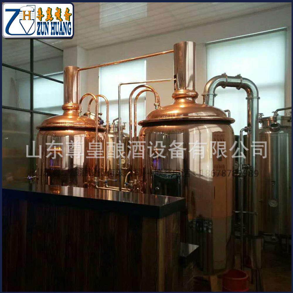 自酿啤酒设备 原浆啤酒机 不锈钢发酵罐 小型啤酒设备厂家