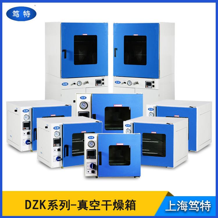 上海笃特DZK-6030电热恒温真空干燥箱小型真空脱泡箱