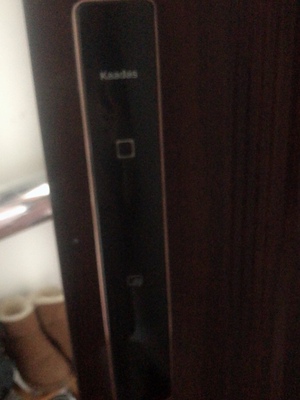 凯迪仕和德施曼哪个好细节区别有哪些?