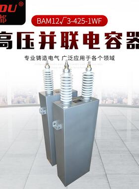 高压并联电容器BAM12√3-425-1WF 集合式高压并联电容器 现货