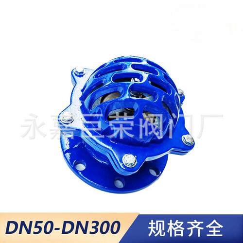 南阀门供应 H42X-25C 铸铁升降式底阀 抽水泵逆止阀 莲蓬头式