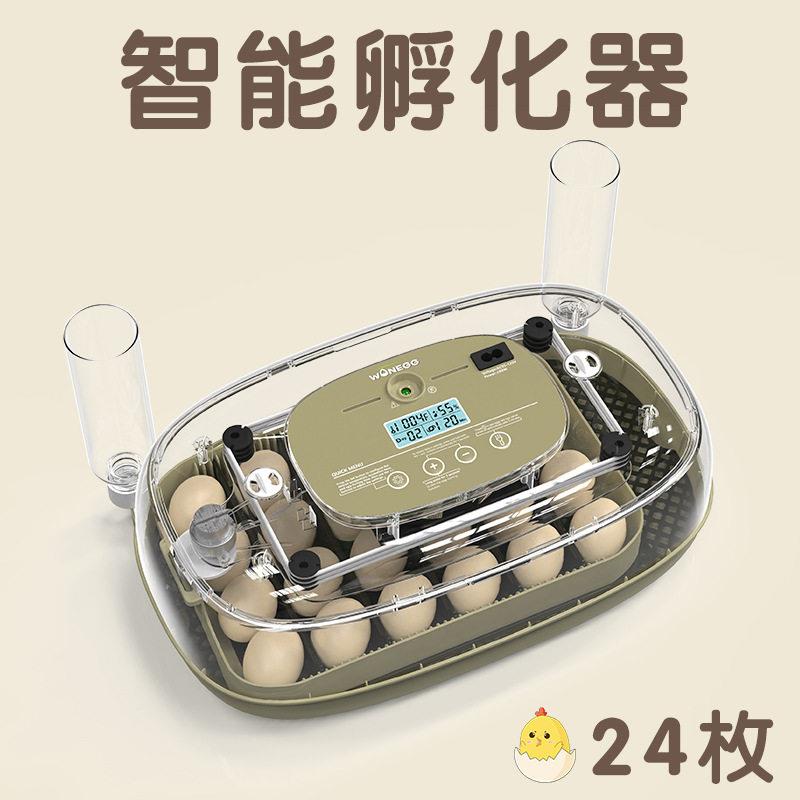 大脸猫24枚小鸡孵化养殖设备孵化器鸡蛋孵蛋器鹌鹑孵化机智能温控