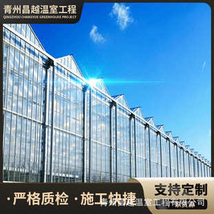 骨架建造阳光板温室工程生产安装 顶部开窗安装 温室骨架供应厂家