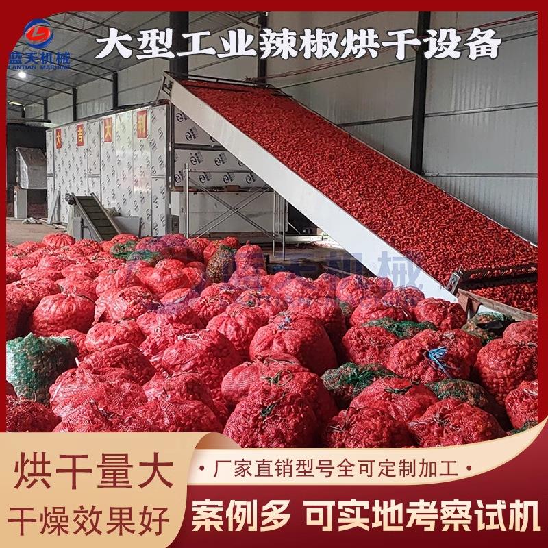 工业辣椒烘干机红辣椒圈烘干设备全自动大型烘干辣椒流水线机器